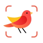 picture bird - bird identifier android application logo